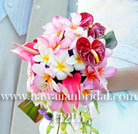 �v�������A�u�[�P